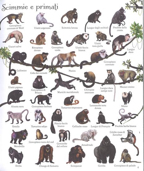 1000 animali. Ediz. a colori - Jessica Greenwell - 2