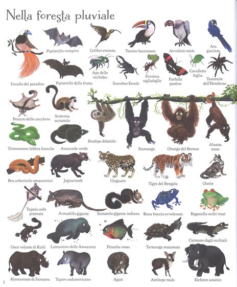 1000 animali. Ediz. a colori - Jessica Greenwell - 3