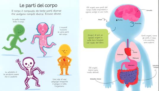 Il corpo umano. Prime scoperte. Ediz. a colori - Matthew Oldham - 3