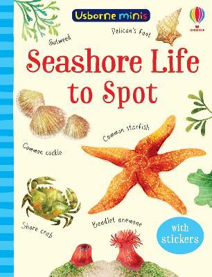 Seashore Life to Spot - Sam Smith - cover