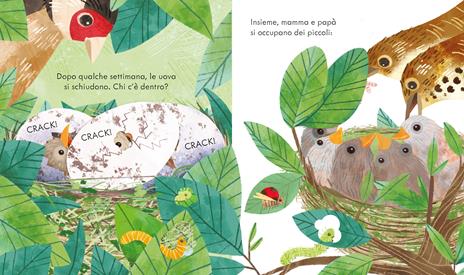 Nel nido. Ediz. a colori - Anna Milbourne - 2