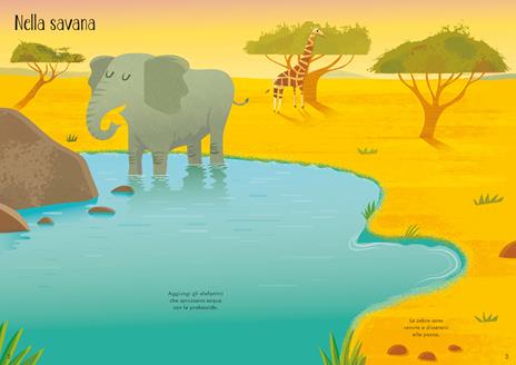 Animali del mondo. Ediz. a colori - Kristie Pickersgill - 2