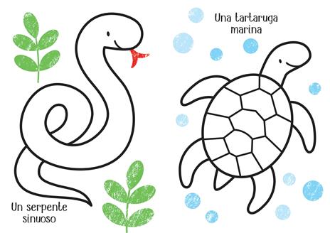 Animali. Ediz. a colori - Kirsteen Robson - 3