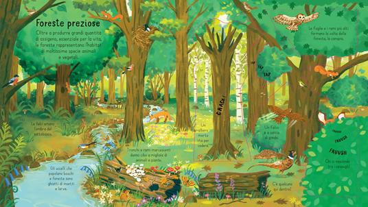 La foresta. Ediz. a colori - Minna Lacey - 2