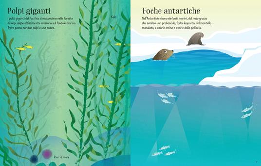 Meraviglie dei mari. Con adesivi. Ediz. a colori - Holly Bathie - 2