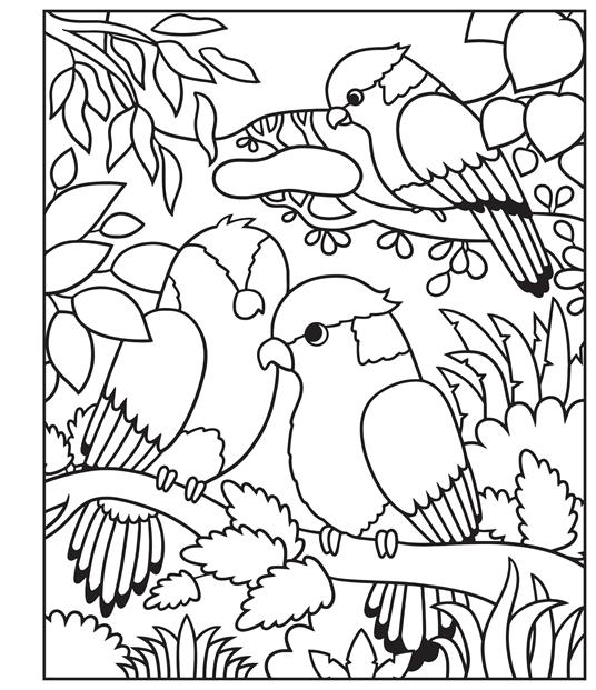 Zoo. Ediz. illustrata. Con pennello - 2