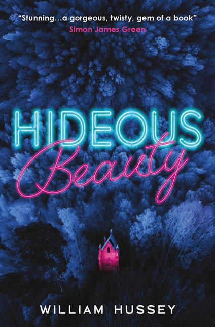 Hideous Beauty - William Hussey - ebook