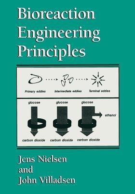 Bioreaction Engineering Principles - Jens Nielsen,John Villadsen - cover