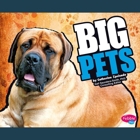 BIG Pets