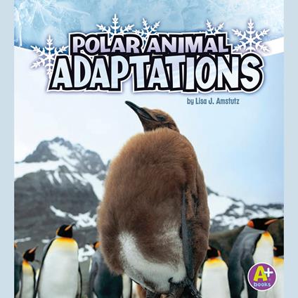 Polar Animal Adaptations