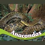 Anacondas