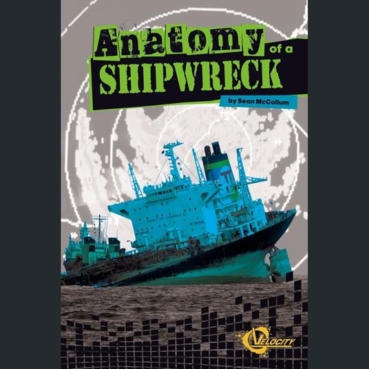 Anatomy of a Shipwreck