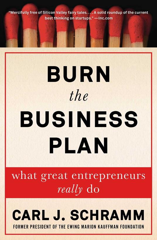 Burn the Business Plan