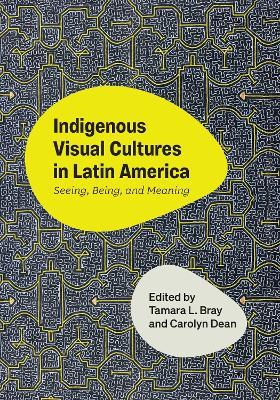 Indigenous Visual Cultures in Latin America: Seeing, Being, and Meaning - cover