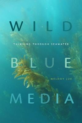 Wild Blue Media: Thinking Through Seawater - Melody Jue - cover
