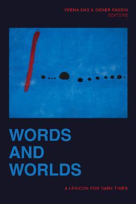 Words and Worlds: A Lexicon for Dark Times - cover