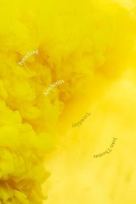 Breathing Aesthetics - Jean-Thomas Tremblay - cover