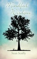 Mindful Wisdom - Sean Scully - cover