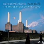 Comfortably Numb