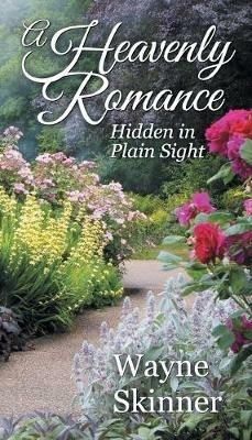 A Heavenly Romance: Hidden in Plain Sight - Wayne Skinner - cover