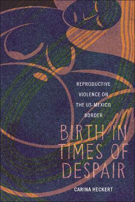Birth in Times of Despair: Reproductive Violence on the US-Mexico Border - Carina Heckert - cover
