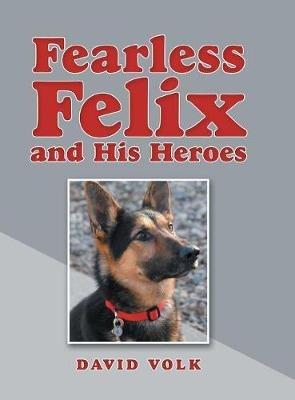 Fearless Felix and His Heroes - David Volk - cover