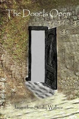 The Door Is Open - Jacqueline Sciaky Wallace - cover