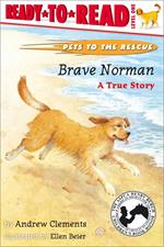 Brave Norman