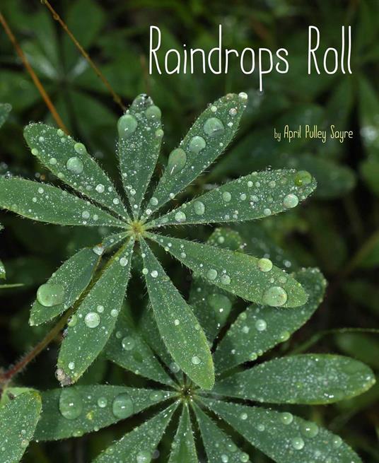 Raindrops Roll - April Pulley Sayre - ebook
