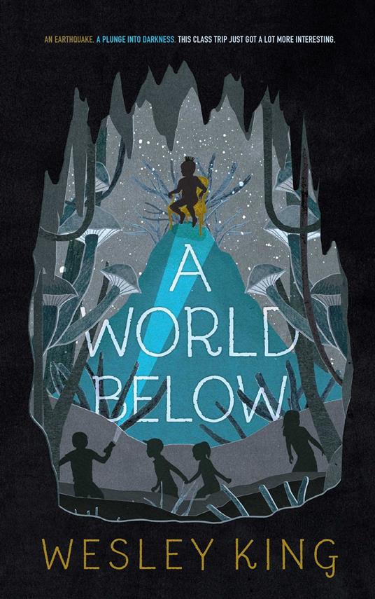 A World Below - Wesley King - ebook