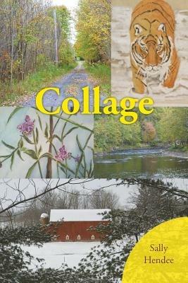 Collage - Sally Hendee - cover