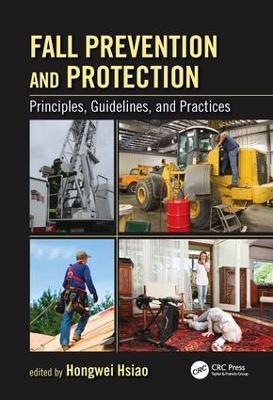 Fall Prevention and Protection: Principles, Guidelines, and Practices - cover