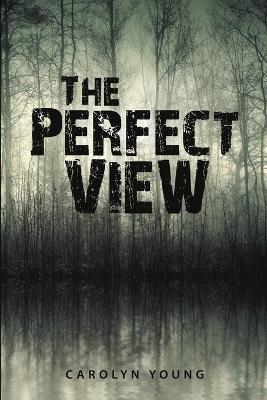 The Perfect View - Carolyn Young - cover
