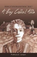 A Boy Called Allis: Allister of Turtle Mountain Series