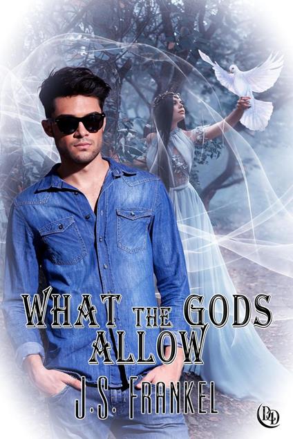 What The Gods Allow - J. S. Frankel - ebook