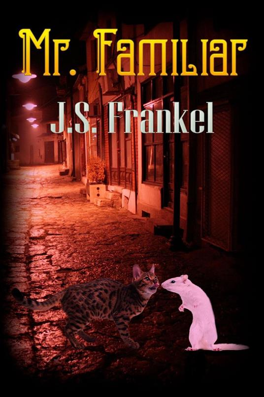 Mr. Familiar - J. S. Frankel - ebook