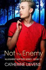 Not the Enemy
