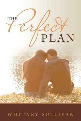 The Perfect Plan - Whitney Sullivan - cover
