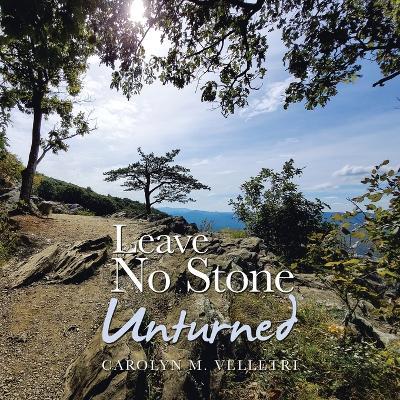 Leave No Stone Unturned - Carolyn M Velletri - cover