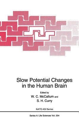 Slow Potential Changes in the Human Brain - cover
