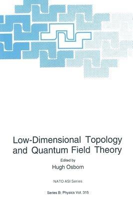 Low-Dimensional Topology and Quantum Field Theory - cover