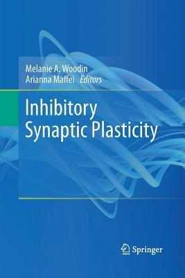 Inhibitory Synaptic Plasticity - cover