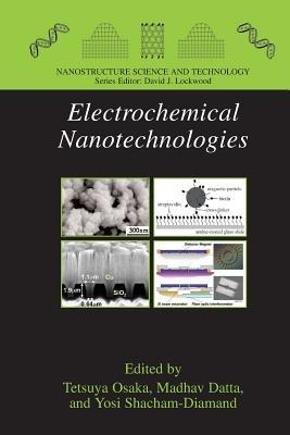 Electrochemical Nanotechnologies - cover