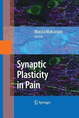 Synaptic Plasticity in Pain - cover