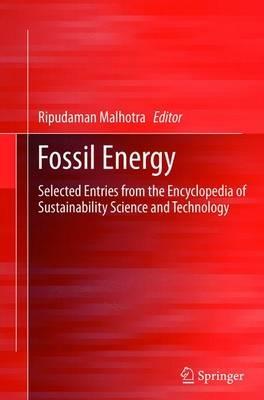 Fossil Energy: Selected Entries from the Encyclopedia of Sustainability Science and Technology - cover