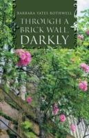Through a Brick Wall, Darkly - Barbara Yates Rothwell - cover