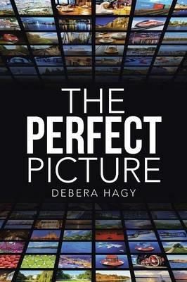 The Perfect Picture - Debera Hagy - cover