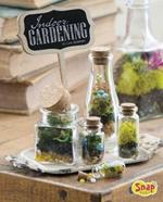 Indoor Gardening: Growing Air Plants, Terrariums, and More