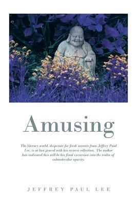 Amusing - Jeffrey A Lee - cover