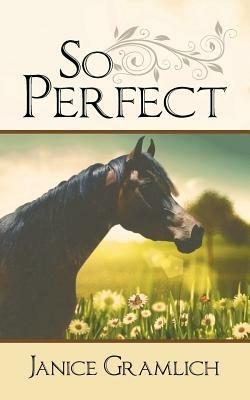 So Perfect - Janice Gramlich - cover